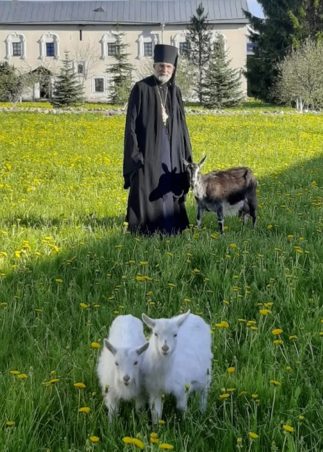 Screenshot 2025-12-17 072839.png