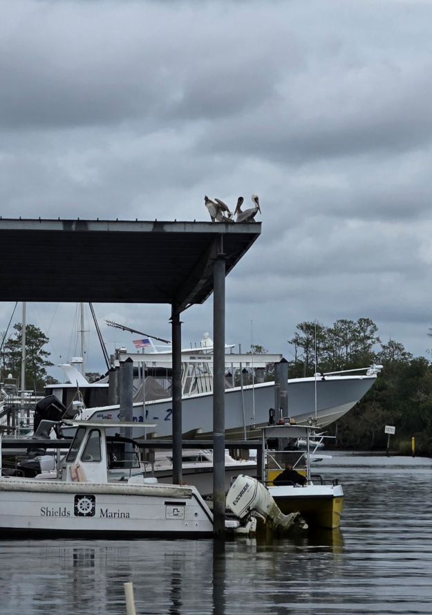 0-02-01-8420c2d9b09dfdcbf1218d39493aa64edf31187a77a074c3a7df33f7537ecf66_fd8dfafb2014f2a.jpg