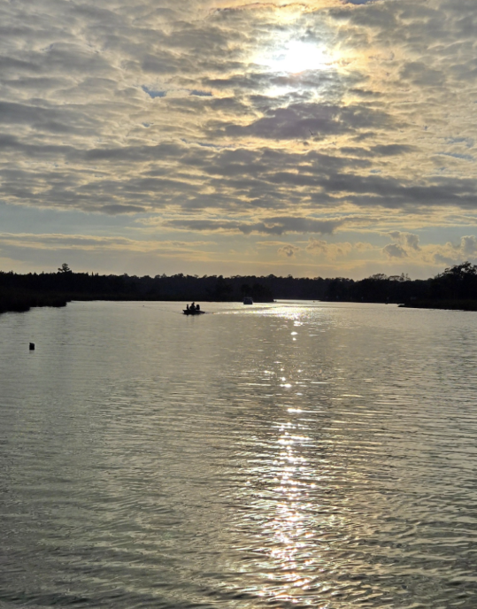 Screenshot 2025-12-29 215253.png