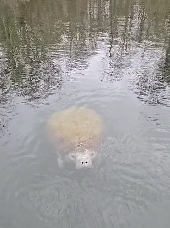 Screenshot 2025-12-30 113000.png