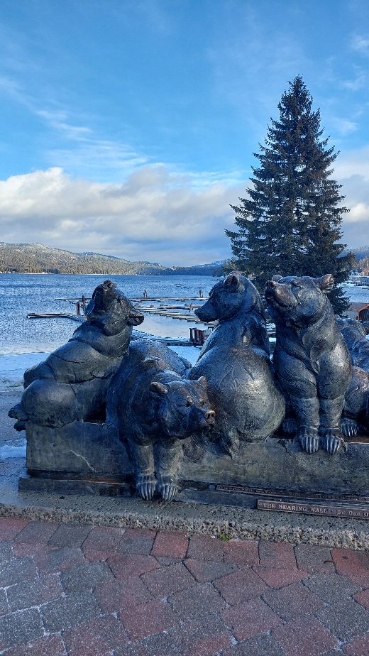 20251226_101031.jpg