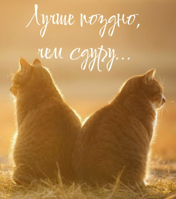 Screenshot 2026-01-03 074757.png