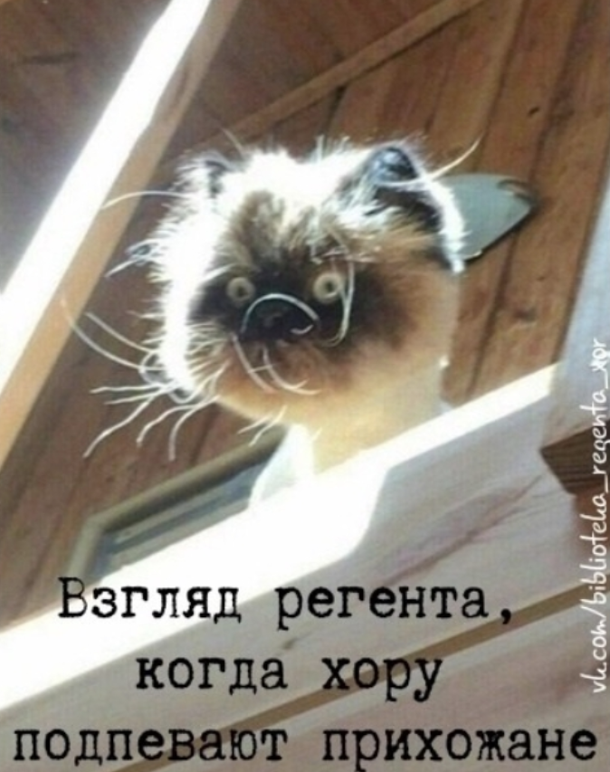 Screenshot 2026-01-04 071331.png