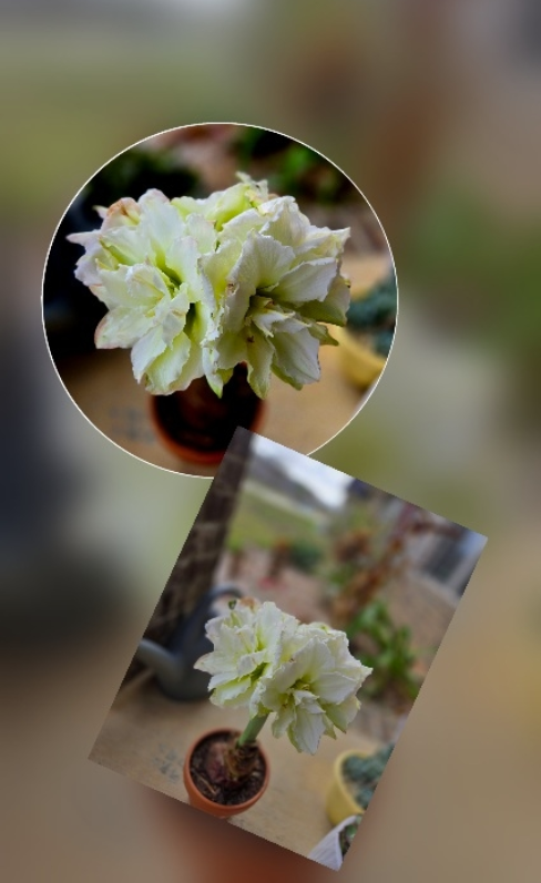 Screenshot 2026-01-09 125657.png