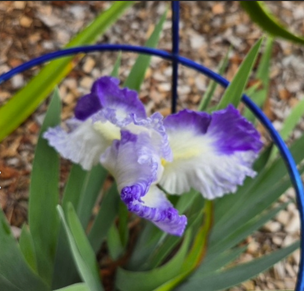 Screenshot 2026-01-09 125718.png