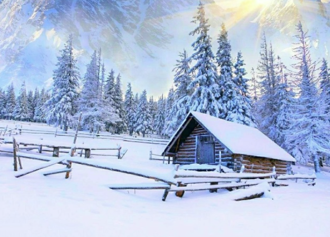 Screenshot 2026-02-01 081312.png