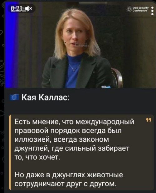 Screenshot 2026-02-03 071650.png