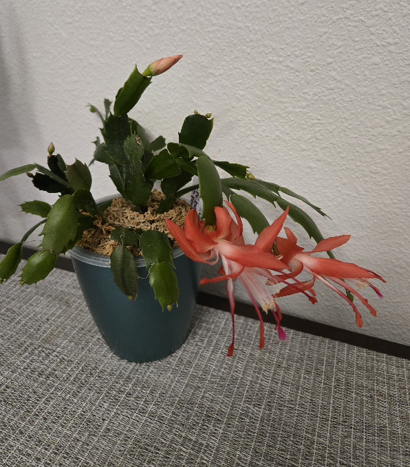 20260208_175352.jpg