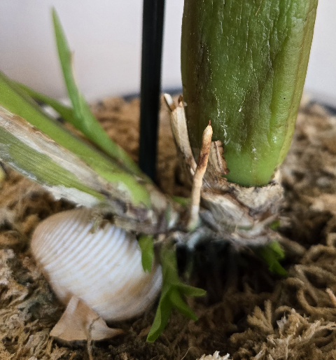 20260209_121441.jpg