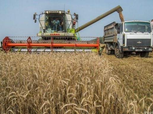 Screenshot 2026-02-13 073057.png