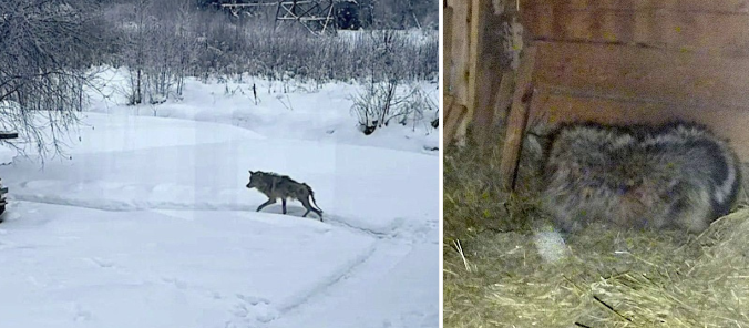 Screenshot 2026-02-15 064034.png