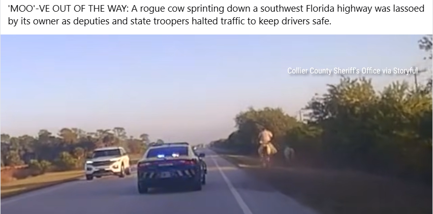 Screenshot 2026-02-20 184128.png