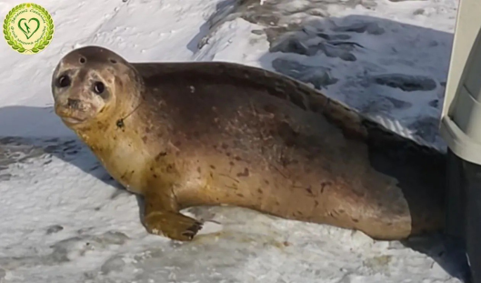 Screenshot 2026-02-27 075954.png