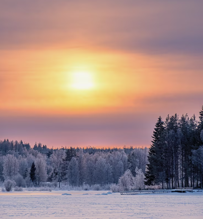 Screenshot 2026-03-02 103220.png