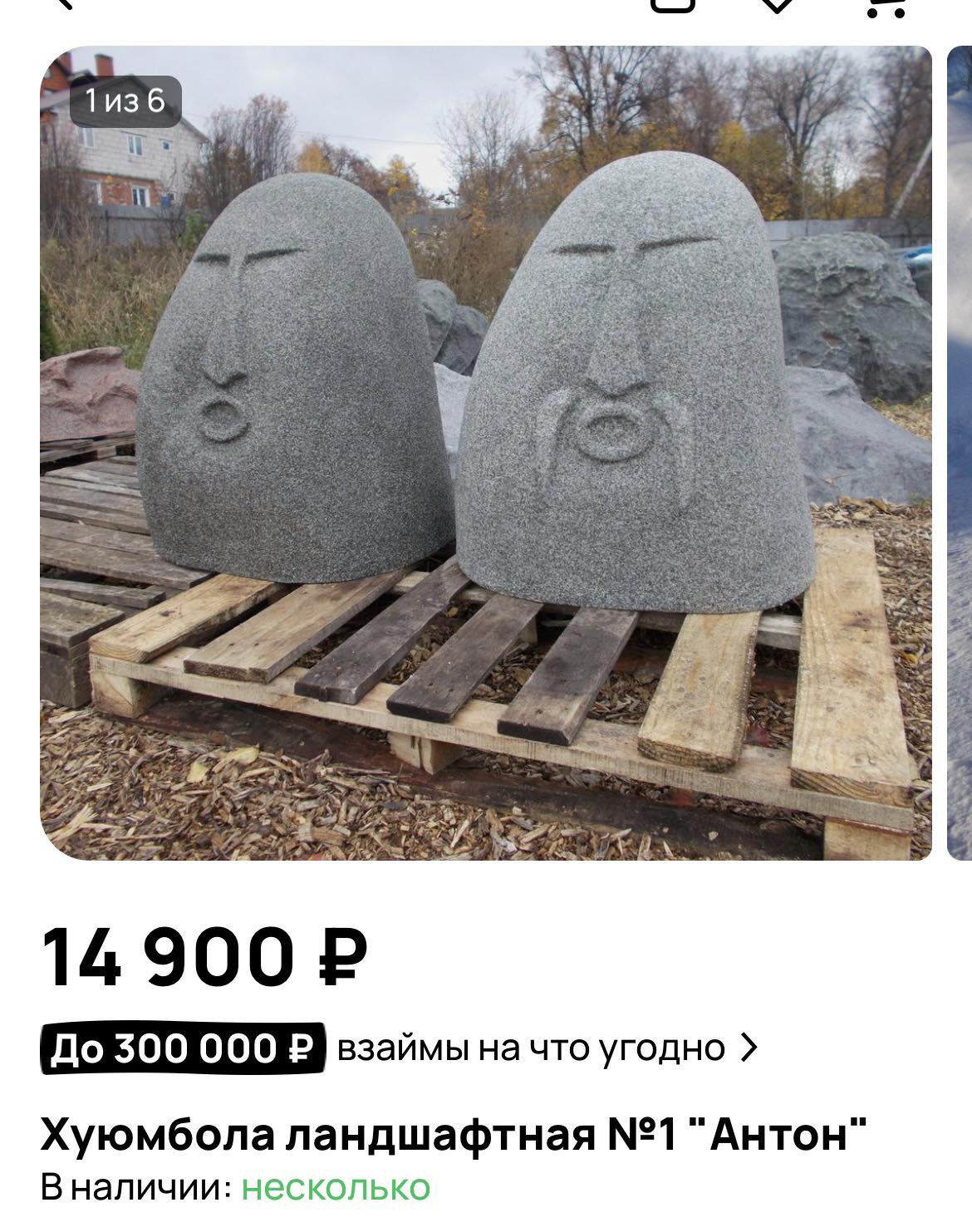 хуюмбола ландшафтная.jpg