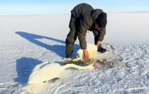 Screenshot 2026-03-15 070759.png