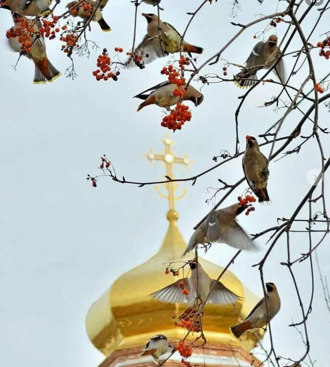 Screenshot 2026-03-27 064047.png