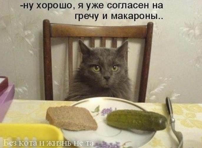 Screenshot 2026-04-09 072209.png