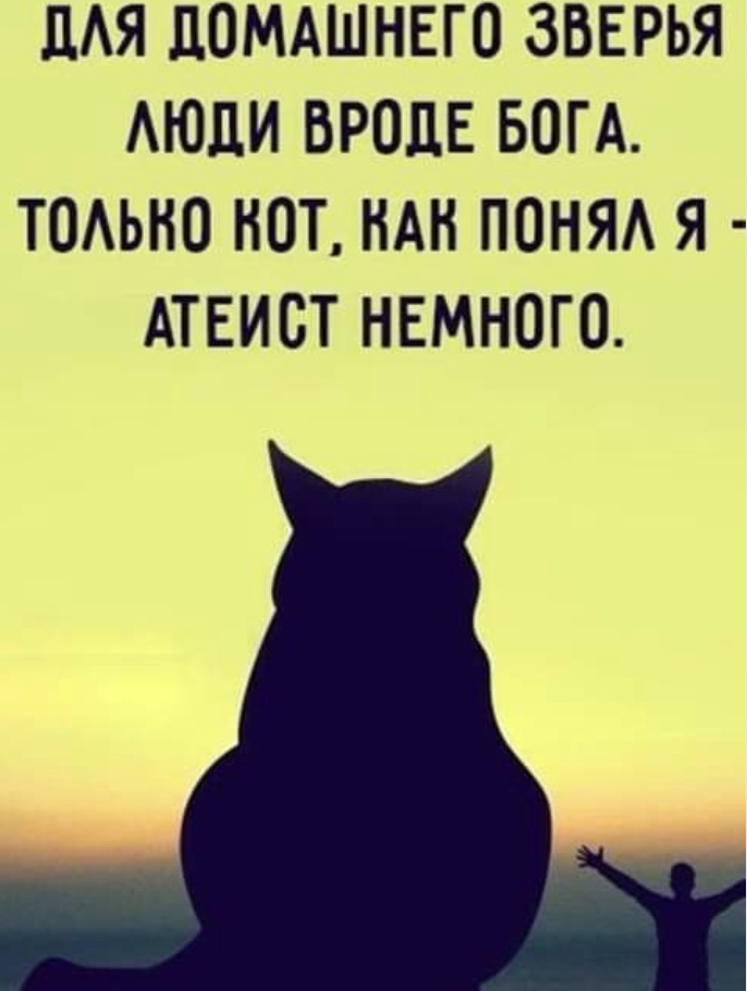 Screenshot 2026-05-04 072908.png