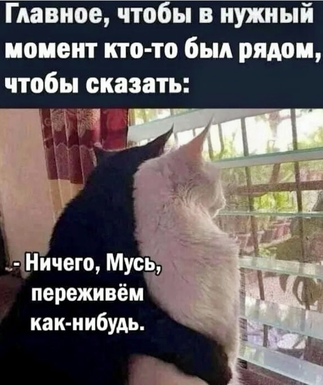 Screenshot 2026-07-16 070000.png