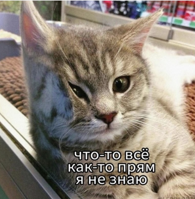 Screenshot 2026-08-03 072010.png