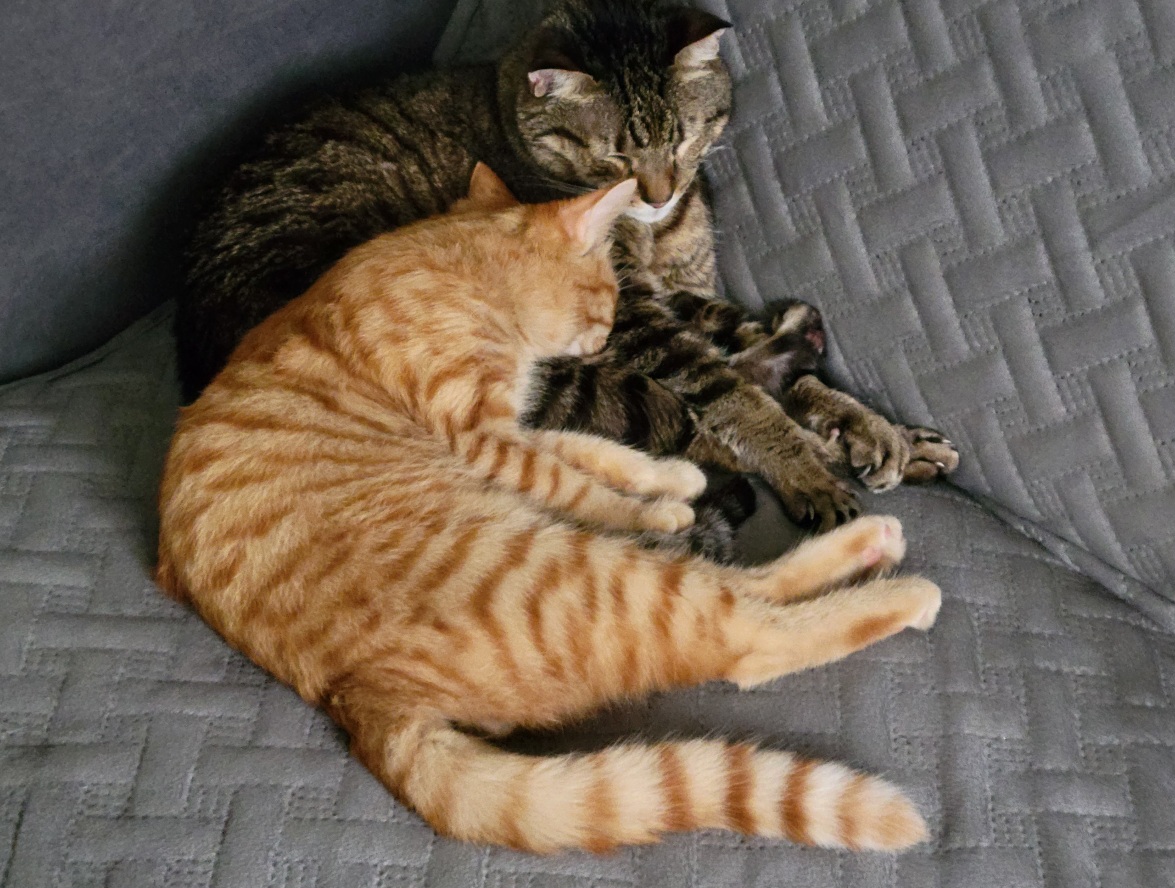 20261015_141818.jpg