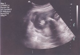 scan0001.jpg