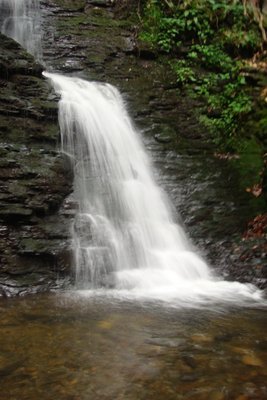 DSC07044.JPG
