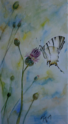 butterfly%201.jpg