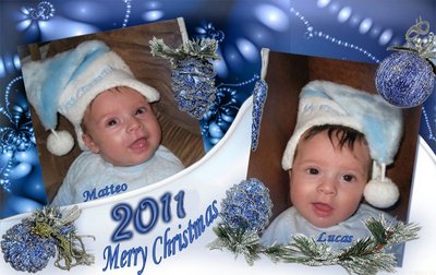 2011 new year card.jpg