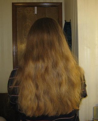 IMG_8246 - Copy.JPG