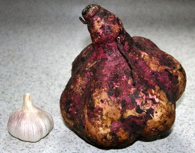 batata-and-garlic1.jpg