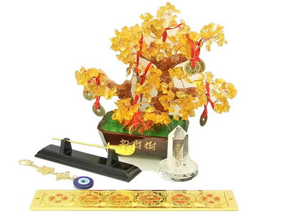 Feng Shui 2011.jpg