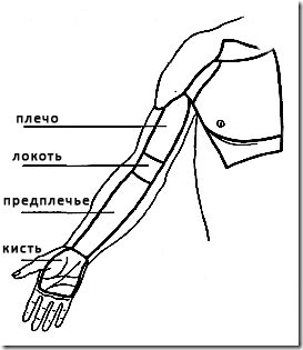 37806547_hand.jpg