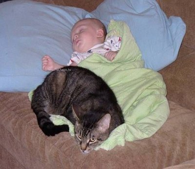 babypet10.jpg