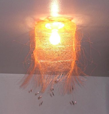 2009 may11 005.jpg