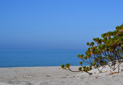 DSC_1300.jpg