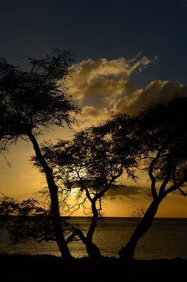 gdhed 401 - Copy - Copy.JPG