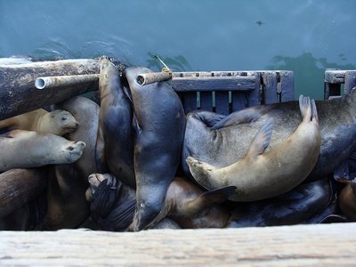 California 139 - Copy.JPG