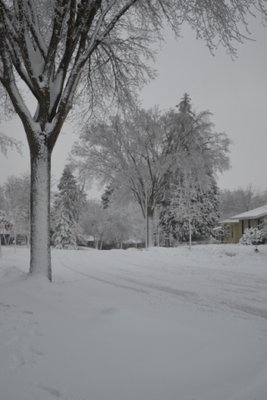 DSC_1996.JPG