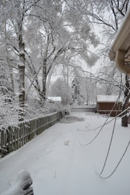 DSC_2004.JPG