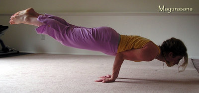 mayurasana.jpg