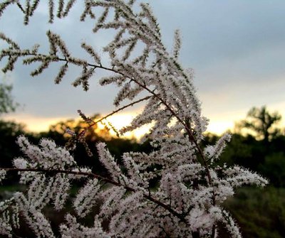 закат на берегу.JPG