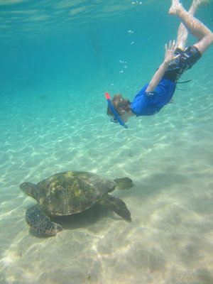 hawaii1 (1).jpeg