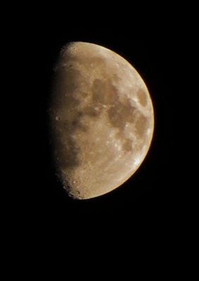 IMG_0030.JPG