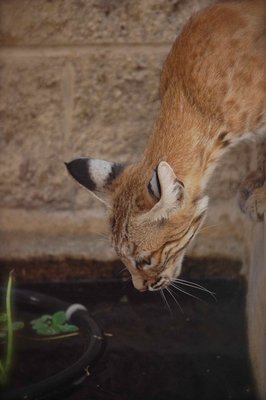 DSC_0048.jpg