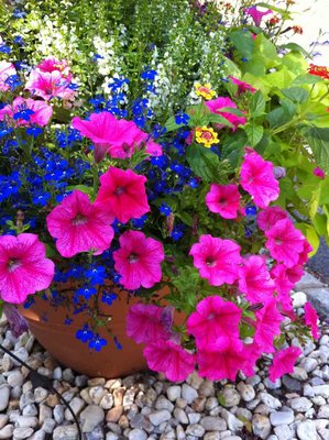 IMG_0687f.jpg