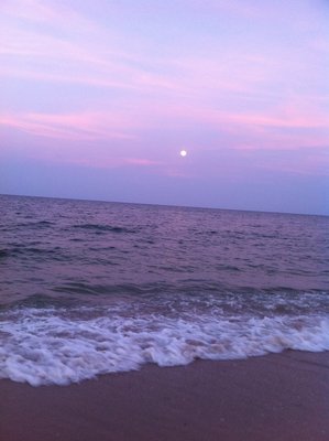 IMG_1509.JPG