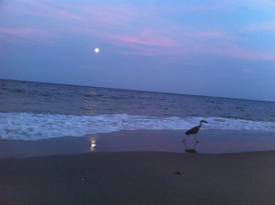 IMG_1517.JPG