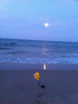IMG_1523.JPG